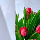 ���� �������, ������ - ��������� 3 ��� 2025 � ������ ���� ����������