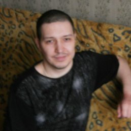 ���� ����, ������, 41 ��� - ��������� 13 ����� 2026