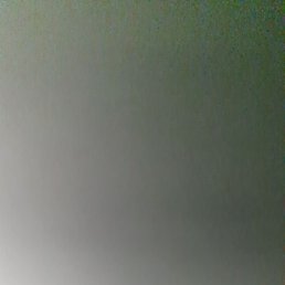 �������, �����-���������, 43 ����