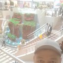 ���� �����, ������������, 41 ��� - ��������� 11 �������� 2024 � ������ ���� ����������