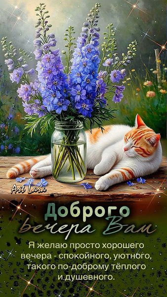   ,    . - 19  2025  16:38 - 3