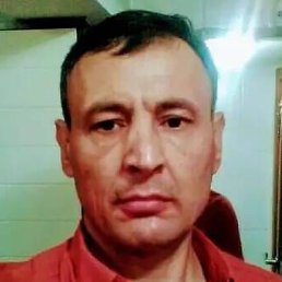 ��������, �������, 52 ����