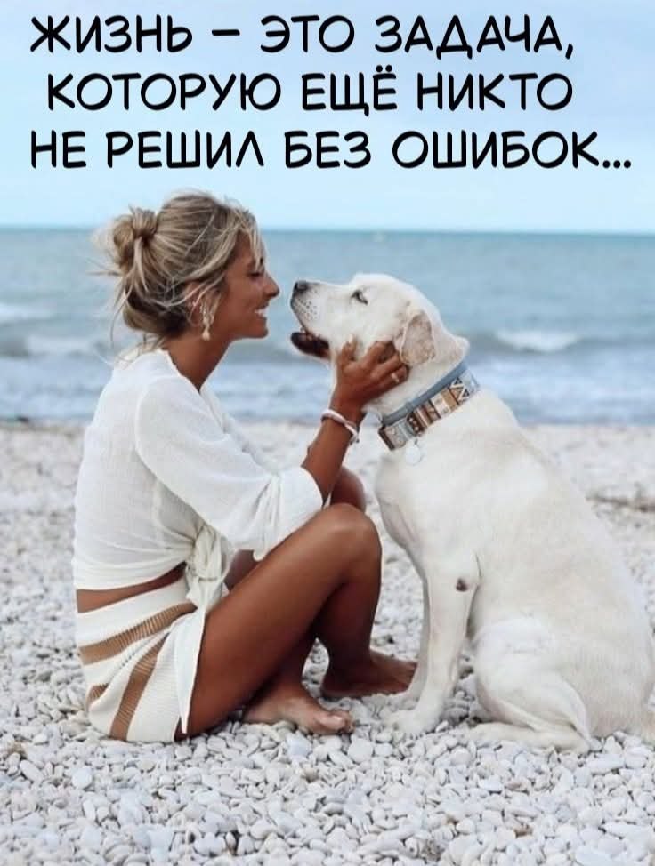 �������� ������ - 29 ������� 2025 � 15:30