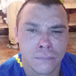 �����, ������, 41 ���