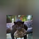 ���� ��������, �������, 41 ��� - ��������� 6 ������ 2024 � ������ ���� ����������