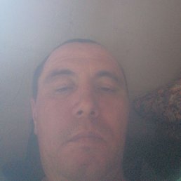 ������� ������������, ���������, 41 ���