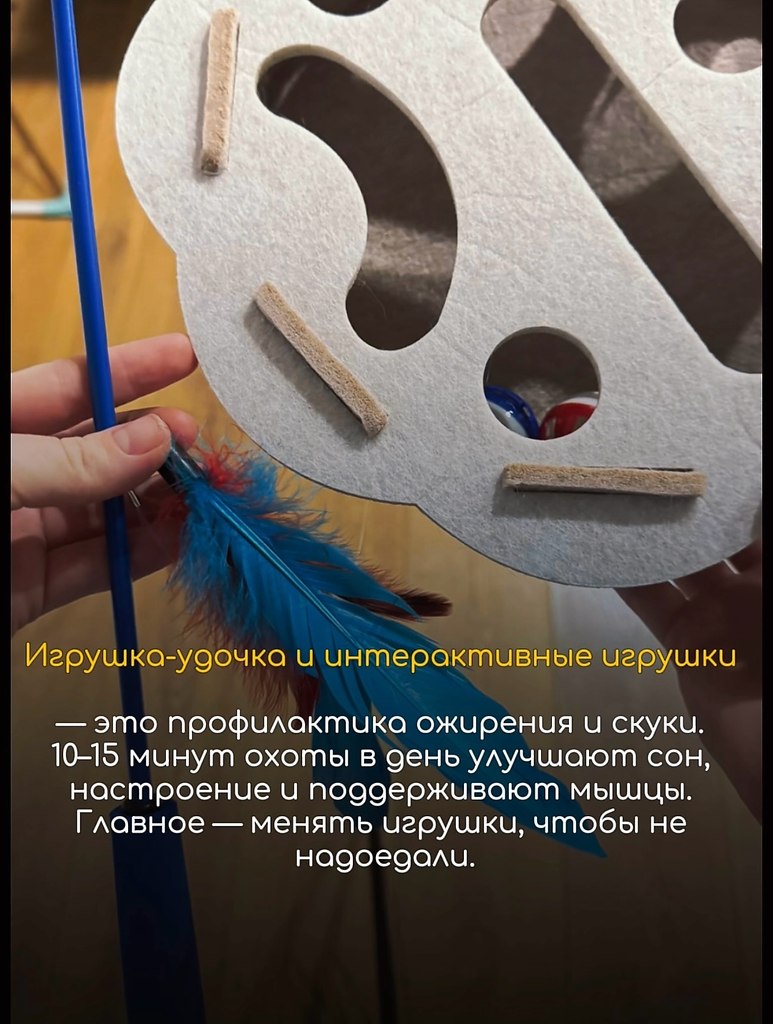 ��� �������� ��� ����-�����������, ��� ������� ��������� ����: ����, ����, ������, ������ � ��� � ... - 5