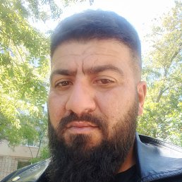 , 36, 