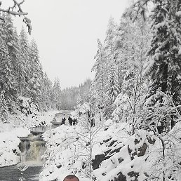 �����, �����, 40 ���