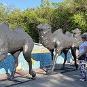 ���� ����, ��������� - ��������� 22 ��� 2025 � ������ ���� ����������