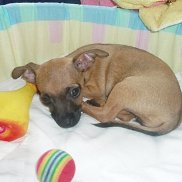 �����, 27 ���, �������