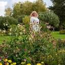 ���� ���������, �����������, 44 ���� - ��������� 21 ������� 2025 � ������ ���� ����������