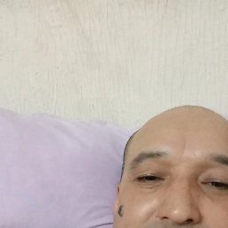 �����, ������, 44 ����