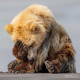 ���� ���������, ���������, 58 ��� - ��������� 22 ����� 2025