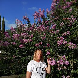 ���� ��������, �����-��������� - ��������� 28 �������� 2026