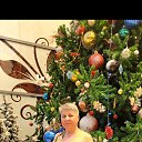 ���� �������, ������, 51 ��� - ��������� 8 ������ 2026 � ������ ���� ����������