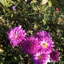 ���� ������, ������ - ��������� 15 ������� 2024 � ������ ���� ����������