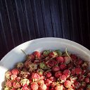 ���� ��������, ����, 39 ��� - ��������� 14 ������ 2025 � ������ ���� ����������