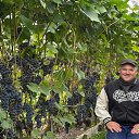 ���� ����, ��������, 59 ��� - ��������� 10 ������ 2026 � ������ ���� ����������