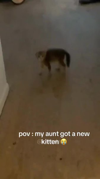 �� ����� ��������� �� ����� ������� - 2