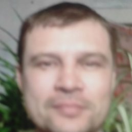 ������, 48 ���, ��������