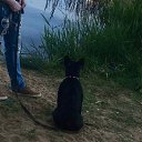 ���� ����, ����, 33 ���� - ��������� 22 ������� 2023 � ������ ���� ����������