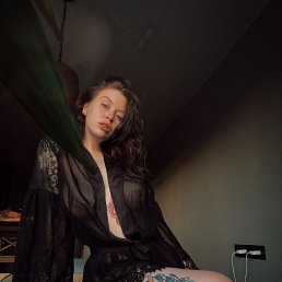 ���� ������, ������, 27 ��� - ��������� 12 �������� 2024