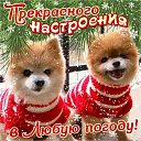 ���� ����, ���������, 66 ��� - ��������� 31 ������ 2024