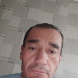 , 40, 