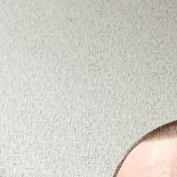 �����, ������, 51 ���