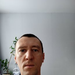 , 40 ,  