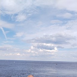 ������, �����-���������, 79 ���