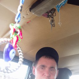 ������� �����������, 43 ����, ������