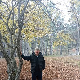 Kaxa, �������, 57 ���