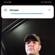 ����, 43 ����, ������