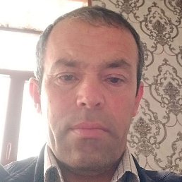 �����, �����, 50 ���