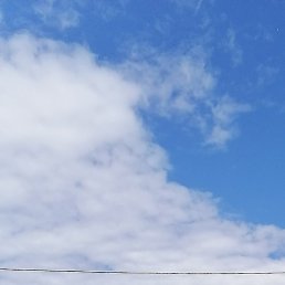 ����������, �����-���������, 55 ���