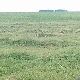 Viktor, ������, 33 ����