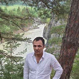 , 54 , 
