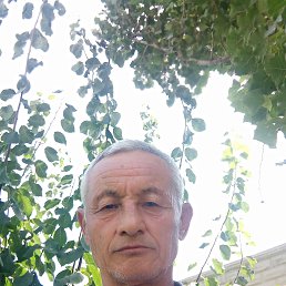 , 61, 