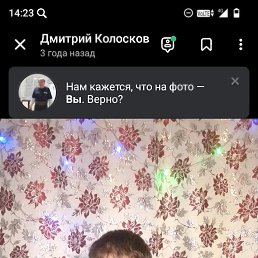 , 37, 