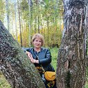 ���� ����, ������������ - ��������� 17 ������ 2026