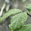 ���� Alex, �����-��������� - ��������� 8 ������� 2025 � ������ ��������