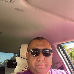 , 44 , -