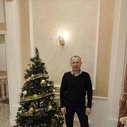 ������, ����, 46 ���