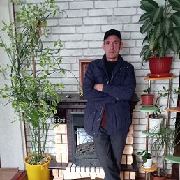 �������, 44 ����, ����