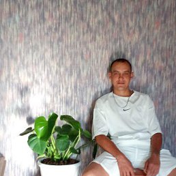 ����, 32 ����, �����������