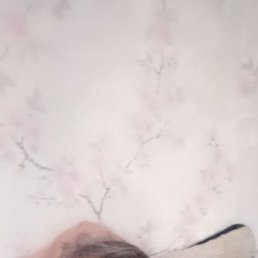 ������, 55 ���, ���������