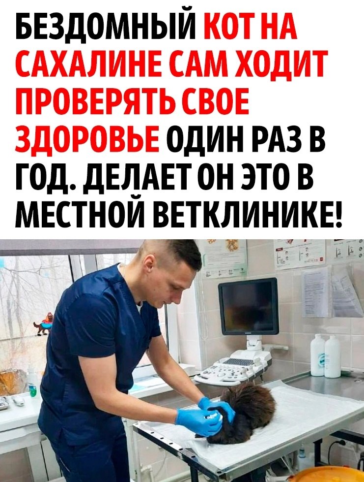 ���� ����� ���� ���������� ������� ���� 9 ������!