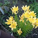 ���� ������, ������� - ��������� 23 ������ 2025 � ������ ���� ���������.�